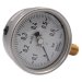 RFM0,6RB100 (03200156) pressure gauge